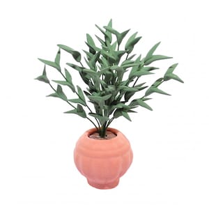 May include: A potted plant with green leaves in a terracotta pot. The pot has a rounded shape and a textured surface.
