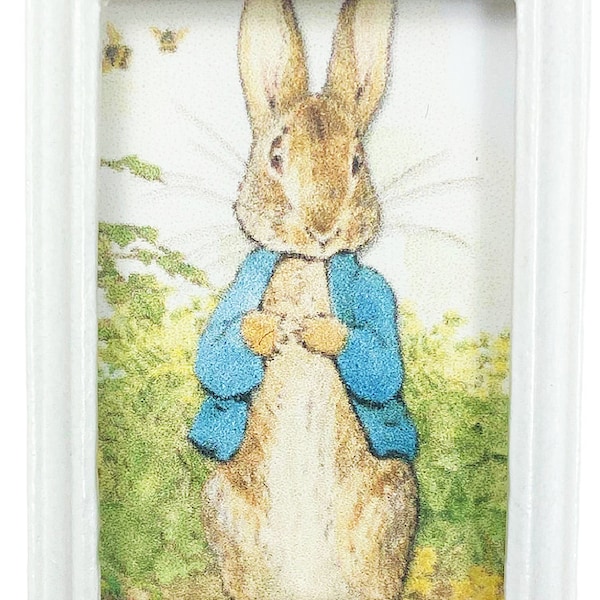 Peter Rabbit Blue Coat - Etsy