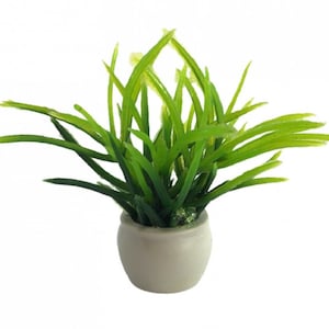 Dolls House Green Plant in White Pot Miniature Garden or Home Accessory 1:12