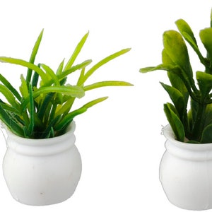 Dolls House Green Succulent Plants in White Pots Miniature Garden Home Accessory