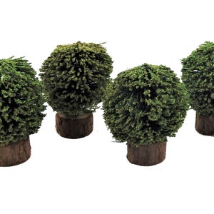 Dolls House Set of 4 Shrubs Bushes Miniature 1:12 Garden Accessory