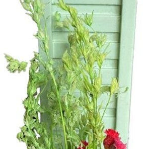 Puppenhaus salbeigrüner Holzpflanztopf mit Blumen Miniatur - Gartenzubehör