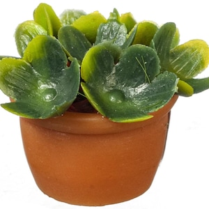 Dolls House Green Plant in Terracotta Pot Miniature Garden Accessory 1:12 Scale