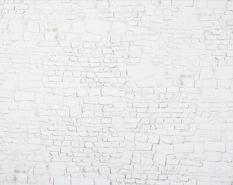 May include: A white brick wall background with a textured surface. The bricks are of varying sizes and shapes, creating a rustic and natural appearance. The wall is evenly lit, highlighting the details of the brickwork.