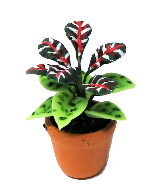 Melody Jane 1:12 Scale Dollhouse Miniature - Plant In Terracotta Pot (Type F) - View #7