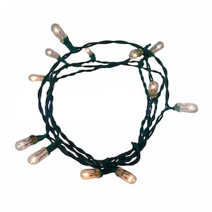 May include: A string of small, clear incandescent Christmas lights on a green wire. The lights are evenly spaced and emit a warm glow. The wire is coiled, suggesting easy storage and use for holiday decorating.
