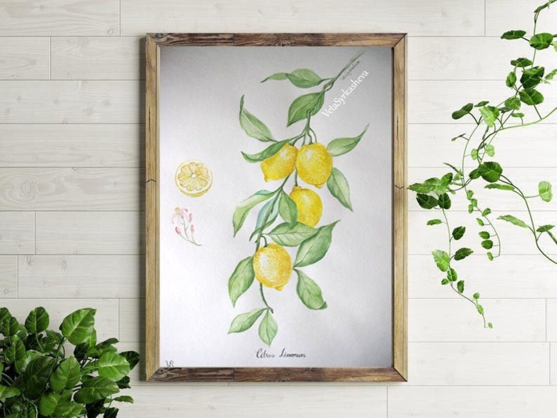 Lemon Painting Original Botanical Watercolor Illustration | Etsy