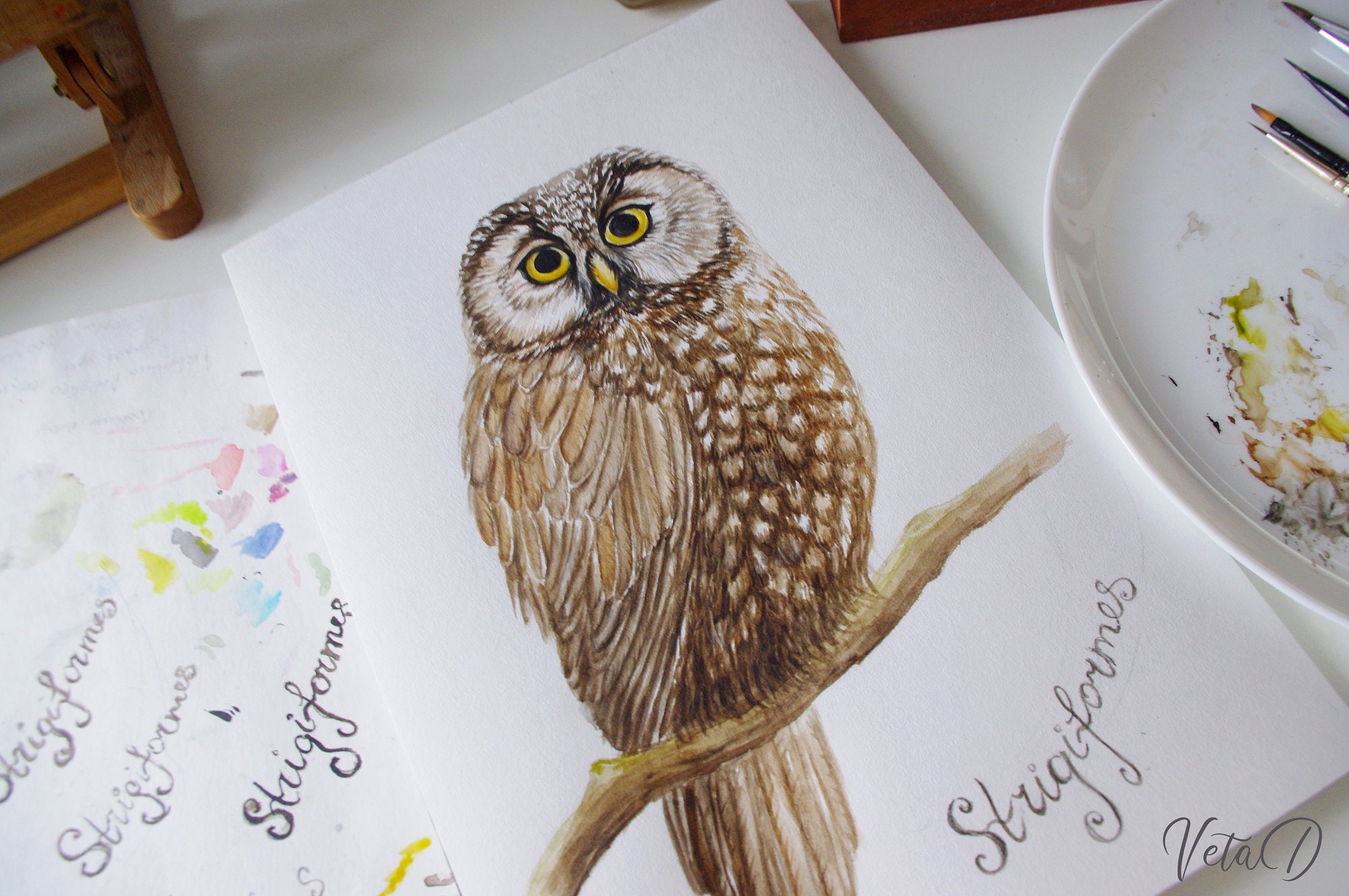 Vogel-Malerei Original Aquarell Eule Vogel Malerei Eule Art | Etsy