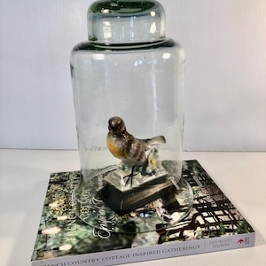 Antique/Vintage Glass Cloche, Clear Heavy Glass, Hand Blown Bell Jar, Terrarium Dome, Display Cloche, Vintage Vignette Cloche, 12&quot; H/7 3/4&quot;