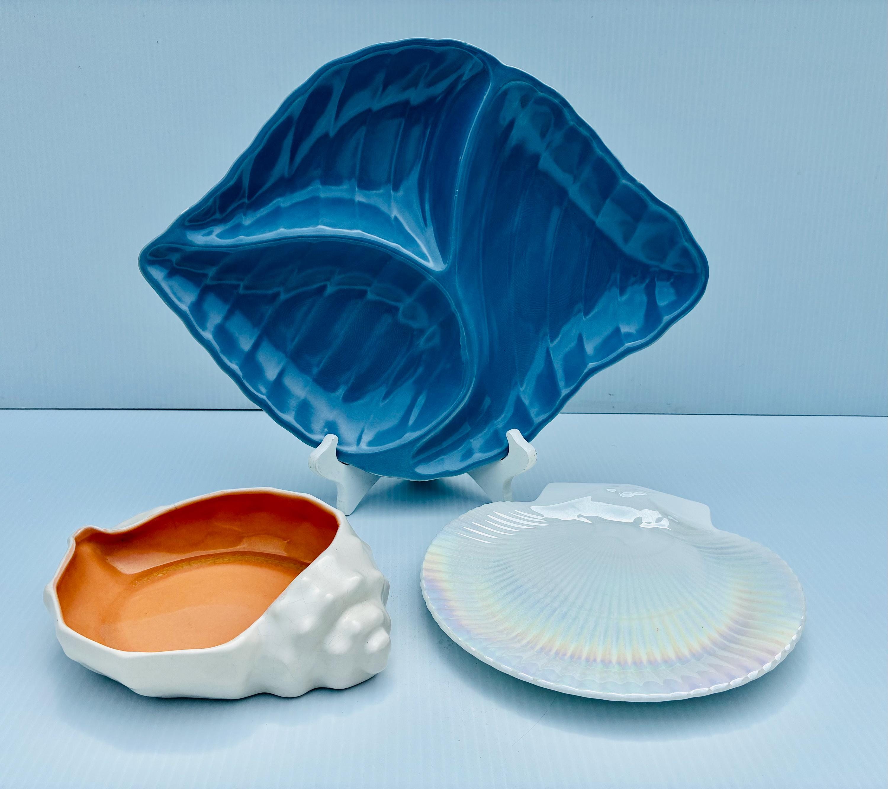 Wedgwood Nautilus Shell - Etsy