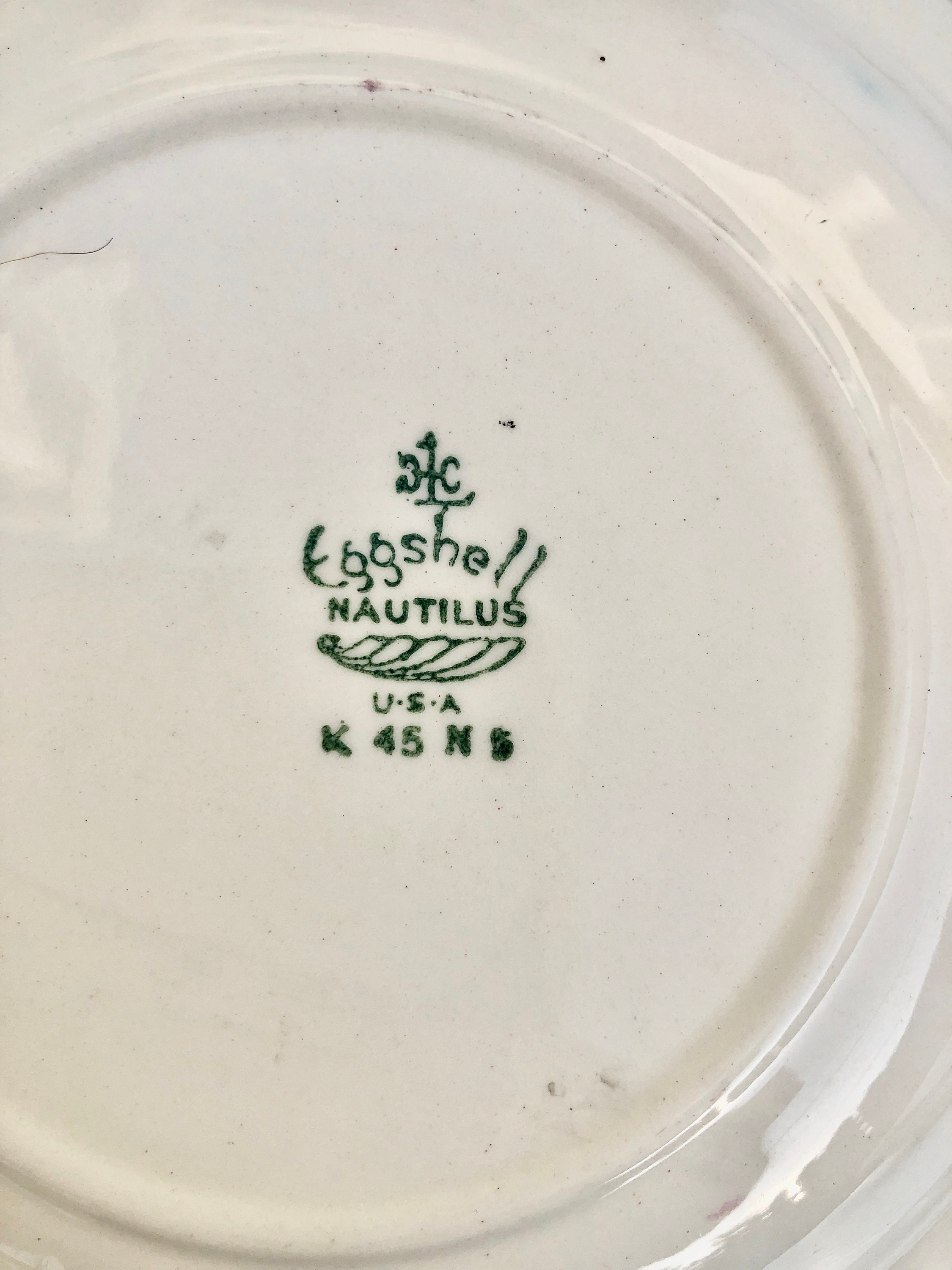 Vintage Floral China, Homer Laughlin Eggshell Nautilus USA