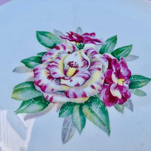 Könnte beinhalten: Ein weißer Keramikteller mit floralem Design. Das Design zeigt eine große, mehrfarbige Rose mit roten und gelben Streifen, umgeben von grünen Blättern und kleineren rosa Blüten. Der Teller hat einen leicht gebogenen Rand.