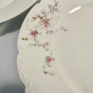Antique, Vintage Pink Floral, Limoges Plates & Platter Set, Theo Haviland, Schleiger China, Charles Field Haviland French China, GDA China