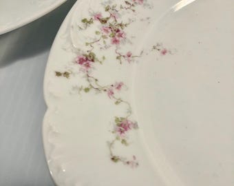 Charles Field Haviland Limoges China Set: Floral Plates & Bowls