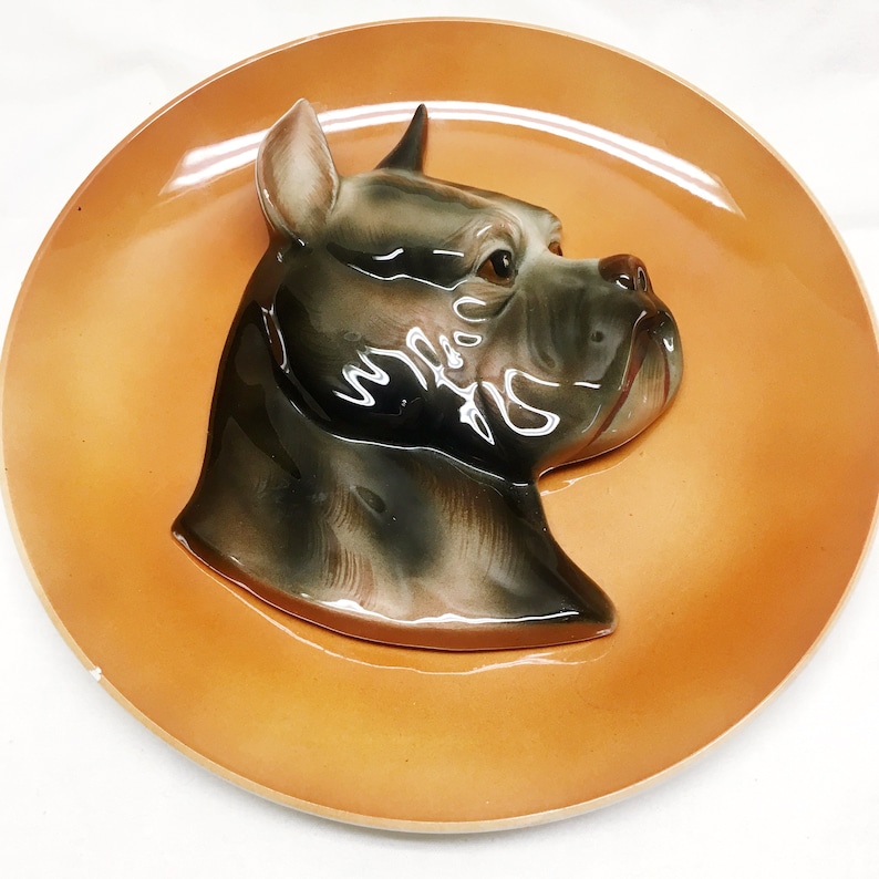 VINTAGE wales ceramic orange plate with boxer dog