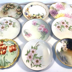 Antique/Vintage Lot of 9 Decorative Floral Plates, Hand Painted Flower & Gold Rim Plates, Limoges, Bavaria,  Haviland Plates, Artist Signed