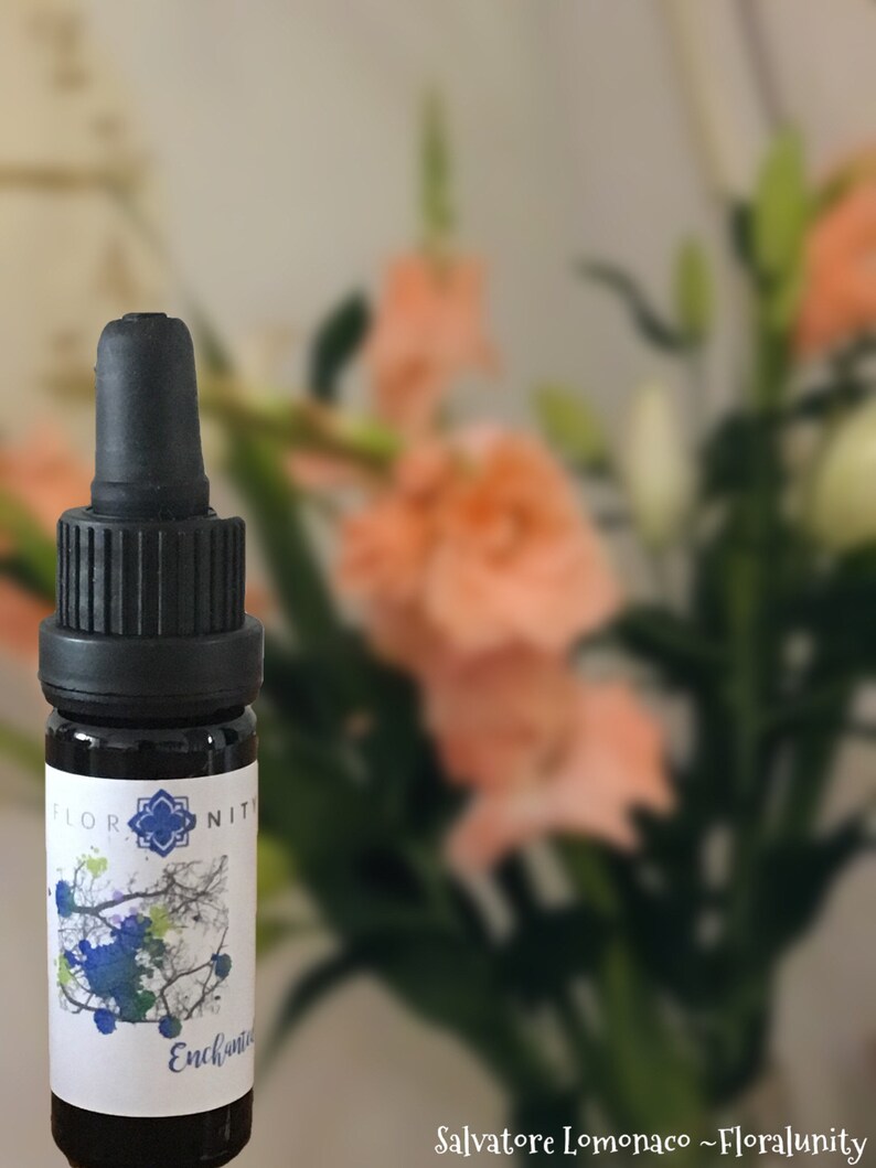 Flower Essences and Vibrational Essences / Flower Elixir Etsy