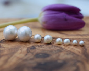 White Freshwater Pearl Stud Earrings in Sterling Silver