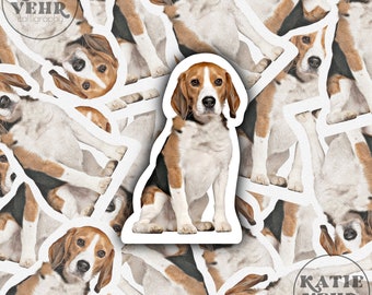 Beagle Sticker, Beagle Dog, Beagle, Dog Mom, Dog Mom Sticker, Dog Sticker, Dogs, Rescue Dog, Rescue, Dog Dad, Laptop Sticker, Stickers, Vet