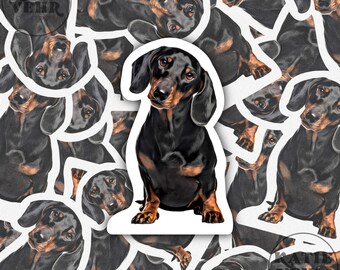 Dachshund Sticker, Wiener Dog, Weenie Dog, Sticker, Laptop Sticker, Water Bottle Sticker, Weenie, Dachshund, Dog, Dog Sticker, Dog Mom