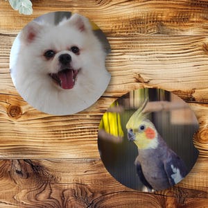 Custom Pet Photo Car Coasters: Personalized Neoprene Car Accessories