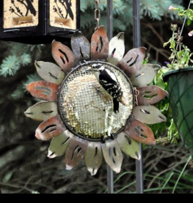 Hanging Sunflower Suet Bird Feeder free Shipping - Etsy
