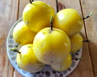 Yellow Passion Fruit  Etsy