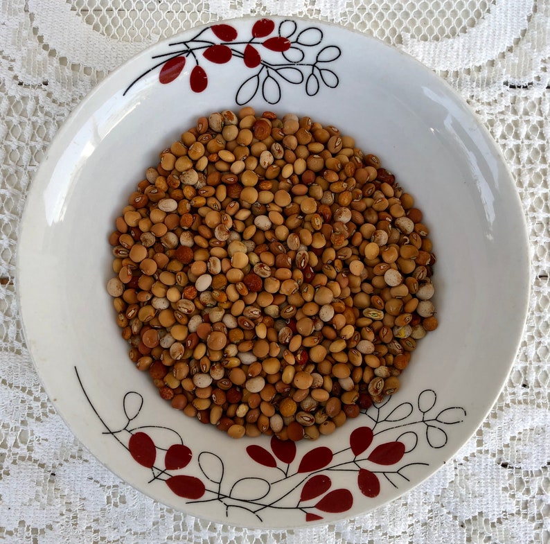 Jamaican Gungo Peas And Rice: A Delicious Caribbean Delight - Jerk Tavern