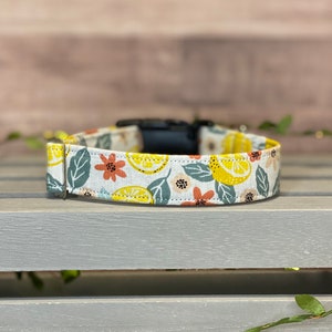 Lemon Dog Collar, Floral Dog Collar, Handmade Pet Collar, Summer Pet Accessories, Girly Dog Collar, Female Dog Collar, Lemonade,