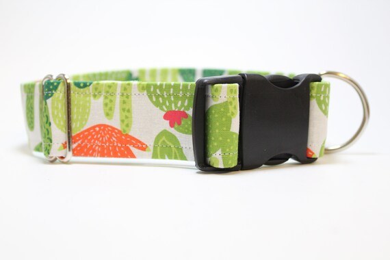 trendy dog accessories