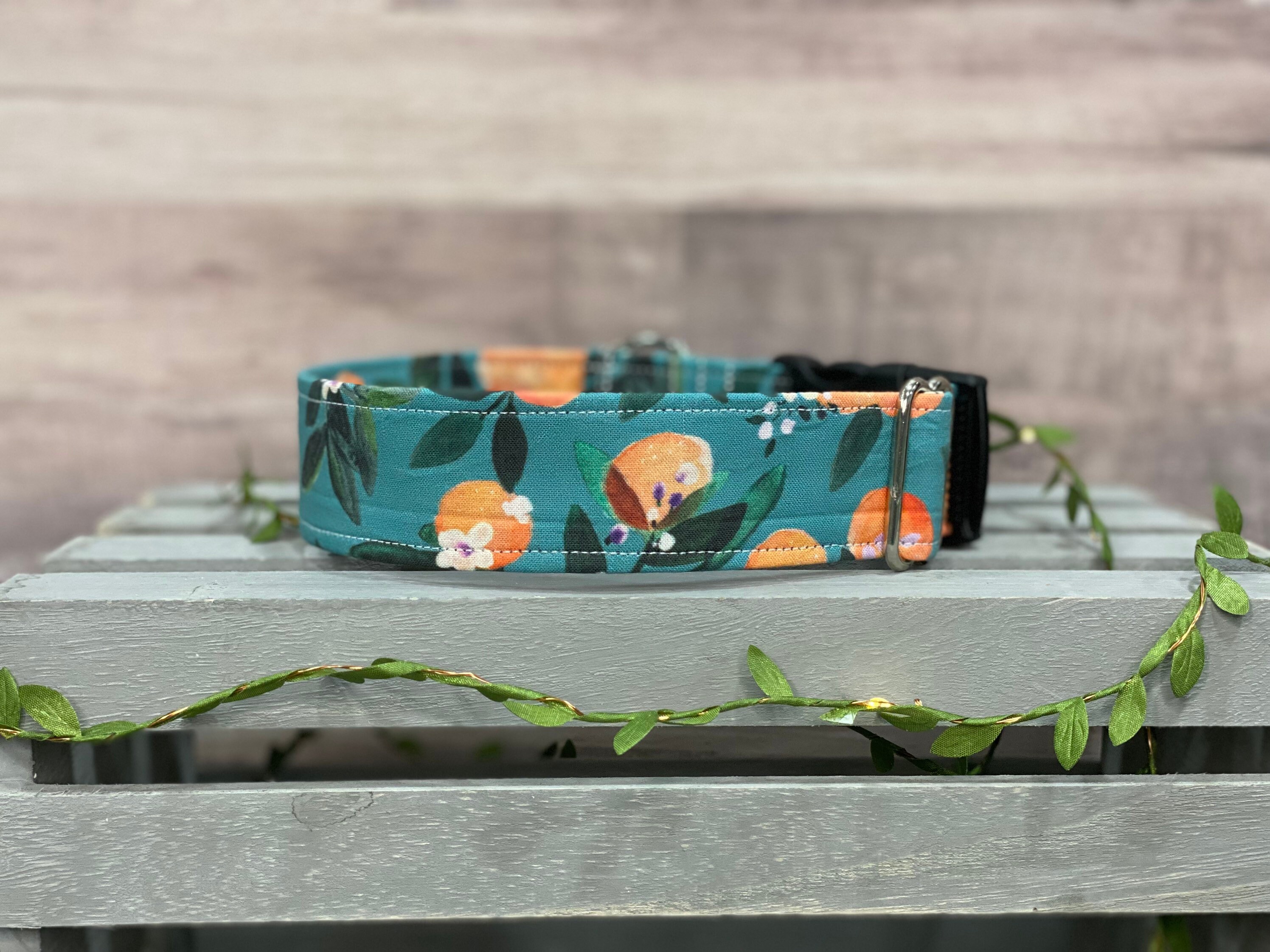 How Do You Deodorize A Dog Collar