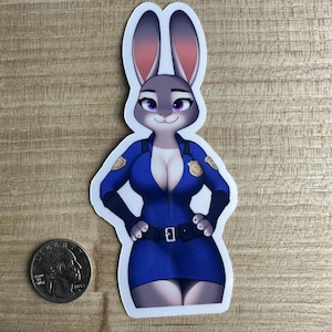 Joody Laminated Vinyl Sticker