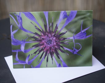 A6 Card Printed on recycled card