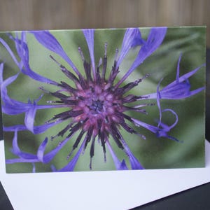Carte de voeux A6 faite main pour photographe, photographiée à la main