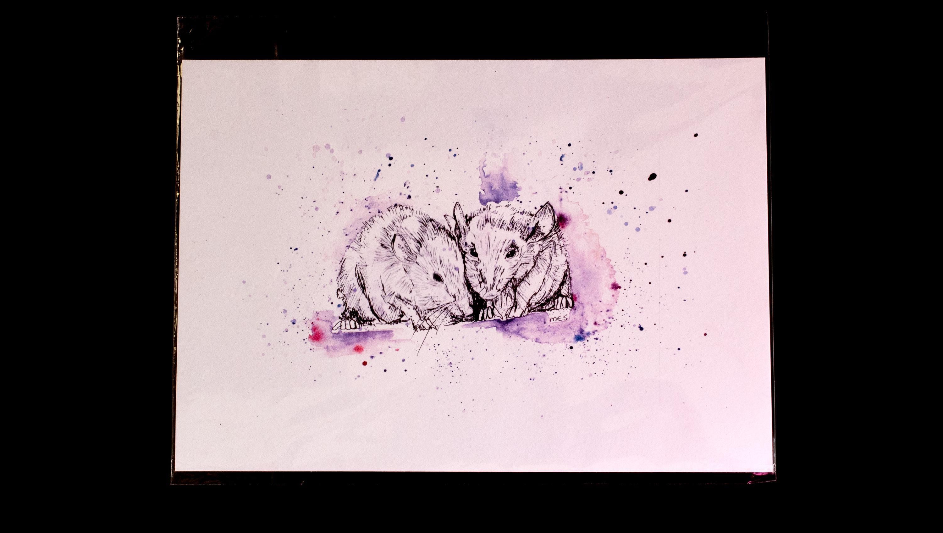 Field Mice Ink Drawn Art Print on Recycled Paper, Field Mice Gift - Etsy