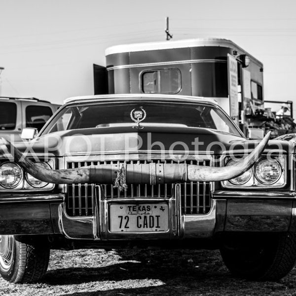 Texas Longhorns | Texas Cadillac | Only Texas | Texas Cadi | Fine Art Photograph | 72 Cadi | Vintage Cadillac Eldorado | Giclee Print