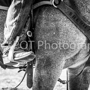 Sheriff Department | Thin Blue Line | Tough Team | Cowboy | Horse Rider | The Posse | Horse Lover Gift | Fine Art Photograph | Giclee Print