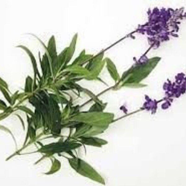 Lemongrass Sage Fragrance Oil