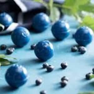 May include: A close-up of a blue surface with several blue blueberry-shaped candies and green leaves. The candies are scattered on the surface, and there are also some small, dark blue blueberries.