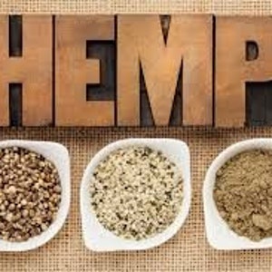 May include: Three white, leaf-shaped bowls filled with hemp products sit below a wooden sign that reads "HEMP." The bowls contain seeds, hearts, and powder. The background is a textured, tan surface.