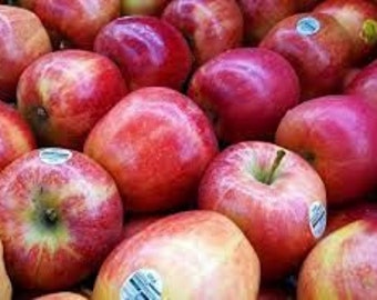 Macintosh Apple Fragrance Oil