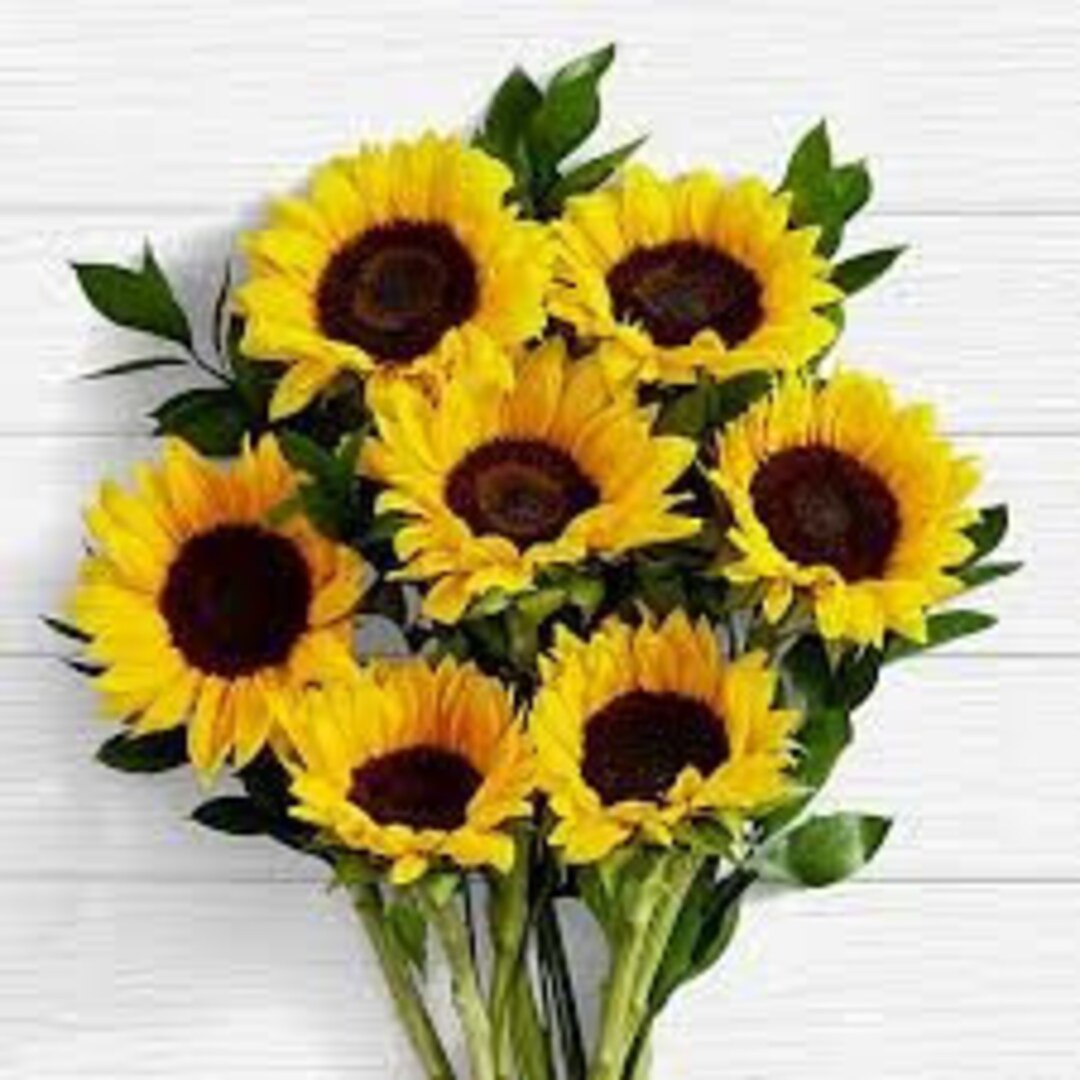 Sunflower Fragrance Oil Etsy