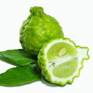 Bergamot Fragrance Oil