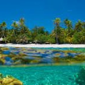 May include: A tropical island with lush green palm trees and a white sandy beach. The water is crystal clear and turquoise blue, with a view of the ocean floor.