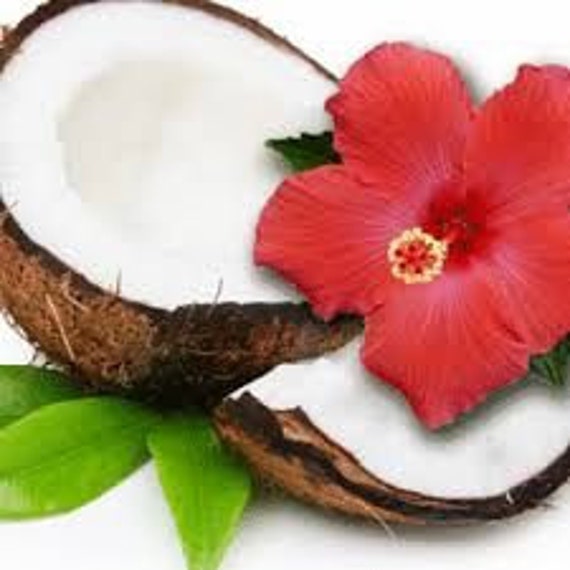 Coconut Hibiscus Fragrance Oil