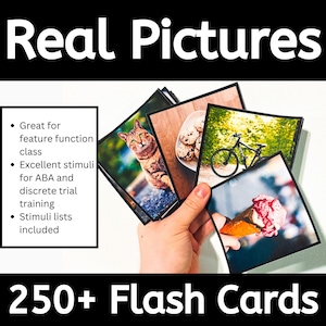 Paquete de tarjetas didácticas con imágenes reales para emociones, función, clase y buenas y malas decisiones.