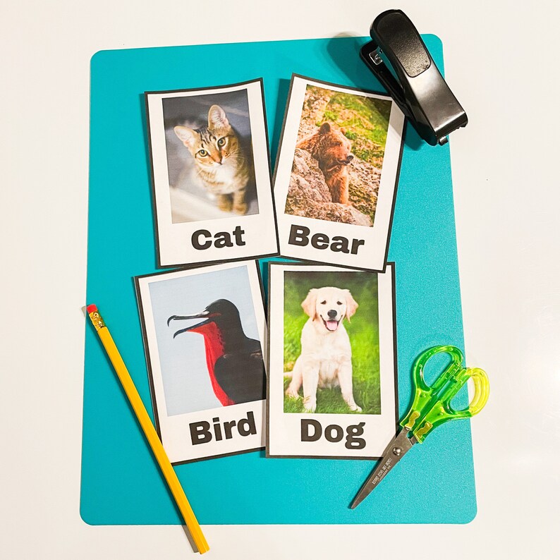 Animal Flash Cards Toddler Learning Toddler Activities Etsy