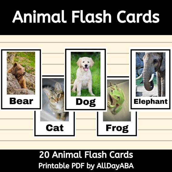 Animal Flash Cards Toddler Learning Toddler Activities - Etsy