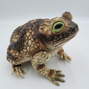 May include: A detailed, textured frog sculpture in shades of brown, tan, and cream. The frog has large, expressive green eyes with black pupils. The sculpture is a realistic depiction of a toad, with a bumpy skin texture and detailed feet.