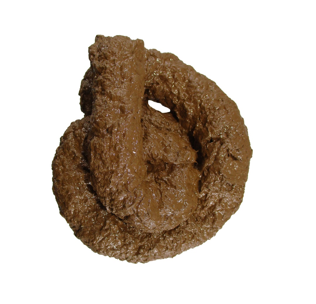 Deluxe Paper Mache Fake Pile Dog Lucy Poop Doggie Poo Realistic Doggy Doo Doo Prank Joke Gag